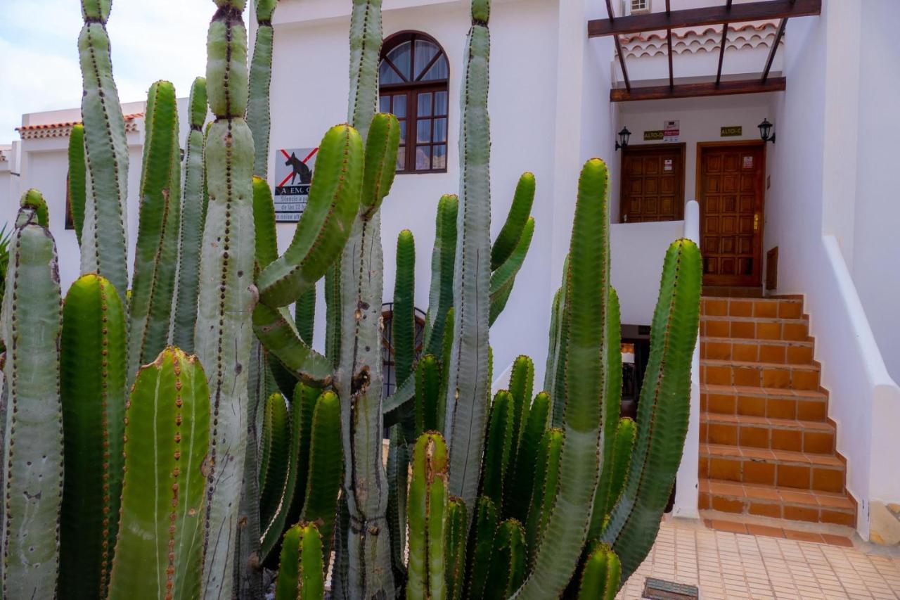 Apartamento Bouganvillas 1 Bed In *